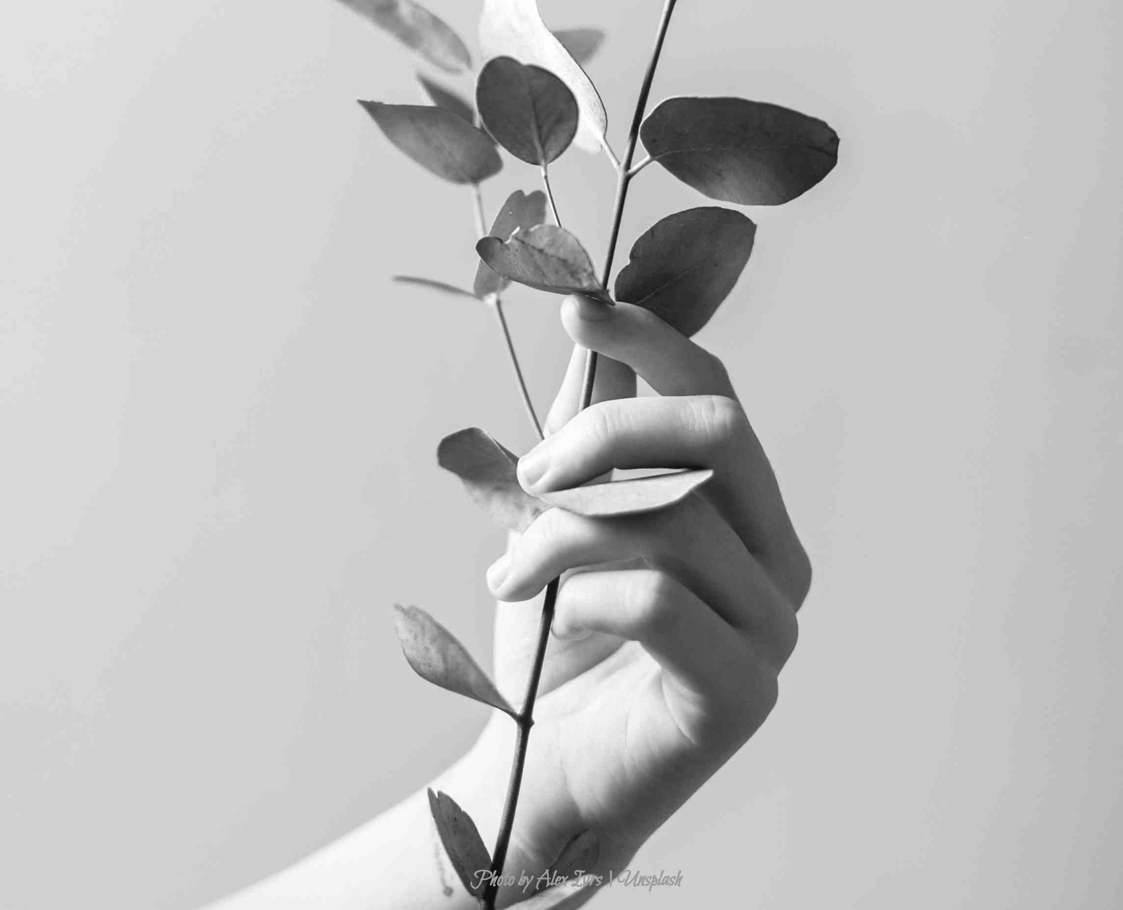 Care and dignified attention